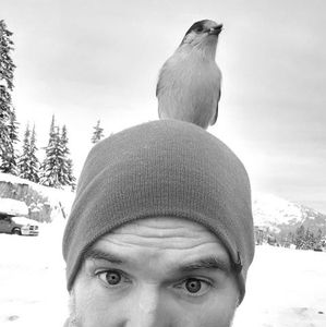 Meet your Posher, Jesse